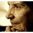 (주)대한한방 이미지