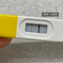 허인정 산부인과의원 | 두둥..! 자연임신 막차에 성공하다˶ˊᜊˋ˶ (배란 9일차~14일차의 기록)