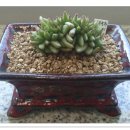 동운농장 이미지