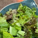 정진농장 이미지