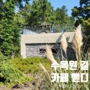 한라 | 제주 카페 벧디 한라수목원 카페 후기 &amp; 렌트카 혜택 꿀팁