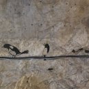 까치게임장 이미지