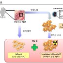 코오롱·코오롱생명과학의 강세이유는??? 신약개발 자금 1000만달러 유치 이미지