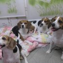 불광유치원 이미지