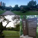 대구청라중학교 이미지