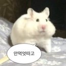 운악184 이미지