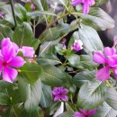 남북의료기 이미지