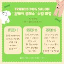 도그애견 이미지