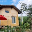 소나무민박 이미지