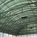 루키목장 이미지