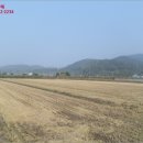 광산구-146 네이버블로그