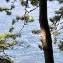 소천지 | [제주] 서귀포의 숨은 비경 '소천지' 방문후기