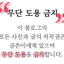 송송약국 이미지