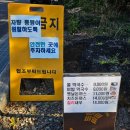 의귀리마을 | [제주] 남원읍 하루 3시간만 맛볼 수 있는 의귀리부부막국수
