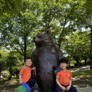 [체험학습] 해설가선생님과 함께하는 우치동물원 투어🦁 이미지