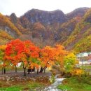 코끼리캠핑장