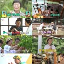 리치(251) 이미지