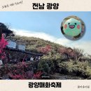 독산마을주차장 내 간이화장실 | 2026년 광양 매화축제 개화율 실시간 먹거리 전남 여행지 추천