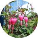 소로1리 이미지