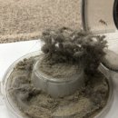 백석세탁 이미지