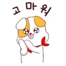 펫코디 이미지