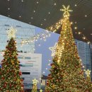 영수공원길 | [부산 해운대] 센텀 영화의 전당 크리스마스 빌리지 부산 2025 친구들이랑 다녀온 리얼후기