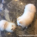 어컴퍼니 이미지