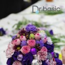 닥터베이직랩 이미지