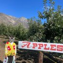 엘에이농장 이미지