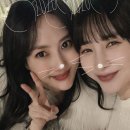 이선정 카카오 검색결과