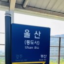 태우돼지국밥
