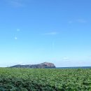 마소물로 2 ↔ 보목동 900-2 | ◐ 제주도 여행은 대중교통 으로 ◑