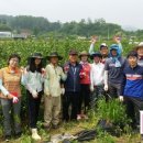 문백면사무소 이미지