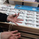 지니스안경 서면태화점 이미지