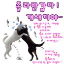 진안공업사 이미지