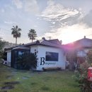 제주 빙새기 이미지