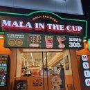 더컵 | 대전 둔산동 마라인더컵2호점 내돈내산후기