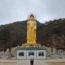 야생화 자수 | [gogo 청주 앤 충북/ 봄꽃없는 세조길] 봄꽃 피지않은 흐린 날 세조길 산책 다녀왔어요.(20240328)