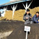 상산농장 이미지