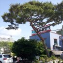 더리미장어마을 이미지