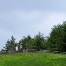 푸른초장 이미지