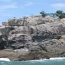바래도 Daum백과