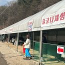 금강나루영농조합법인 | 2024년 충남 청양 알프스마을축제 후기