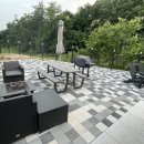 나무들의 수다 이미지