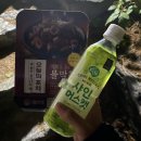2022새이로그 | 1025-1031 마지막 백수주간/남해여행 with 곤🫶🏻