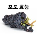 포도 효능 및 효과 보관법 이미지