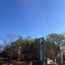 한국화(화조포함) | [아이랑 서울여행] 국립중앙박물관 어린이박물관, 다양한 유물 체험 전시 관람팁 예약팁