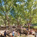 화원자연휴양림 | 대구 화원자연휴양림 계곡, 물놀이 하러 올해도 다녀왔어요~! 배달가능 평상무료!!!!