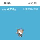 에버투어 - 마포구 양화로 71 | 에버투어