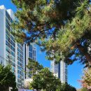 신반포청구 이미지